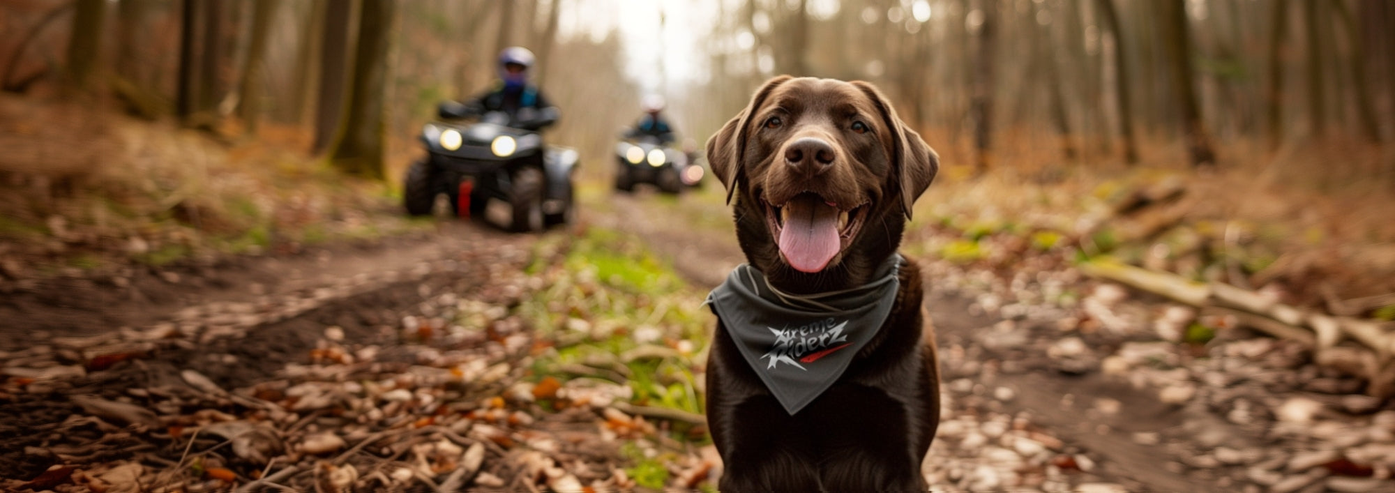 ATV/UTV - Pets