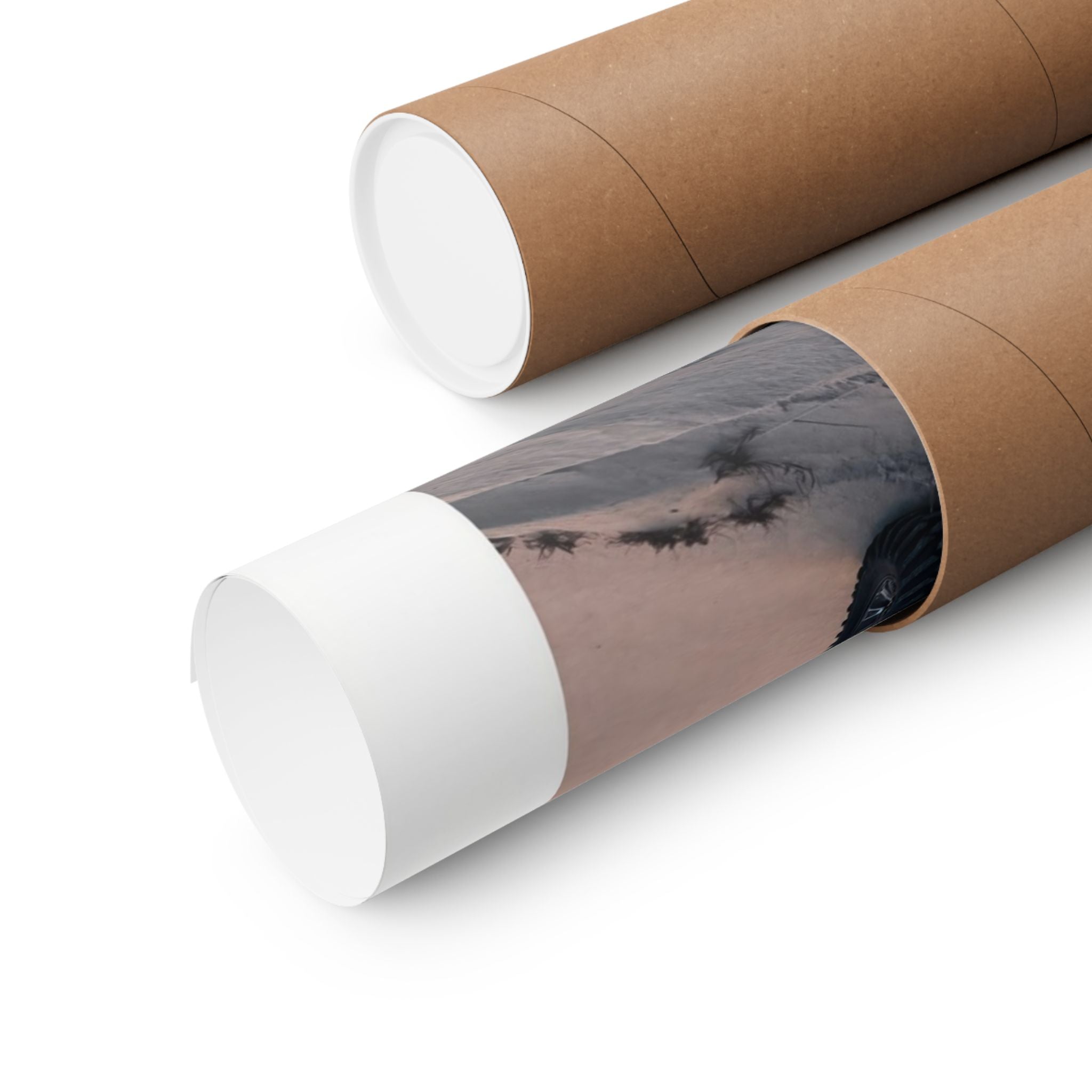 Cooling Off - ATV/Watersports - Gallery Print Poster - DC0142