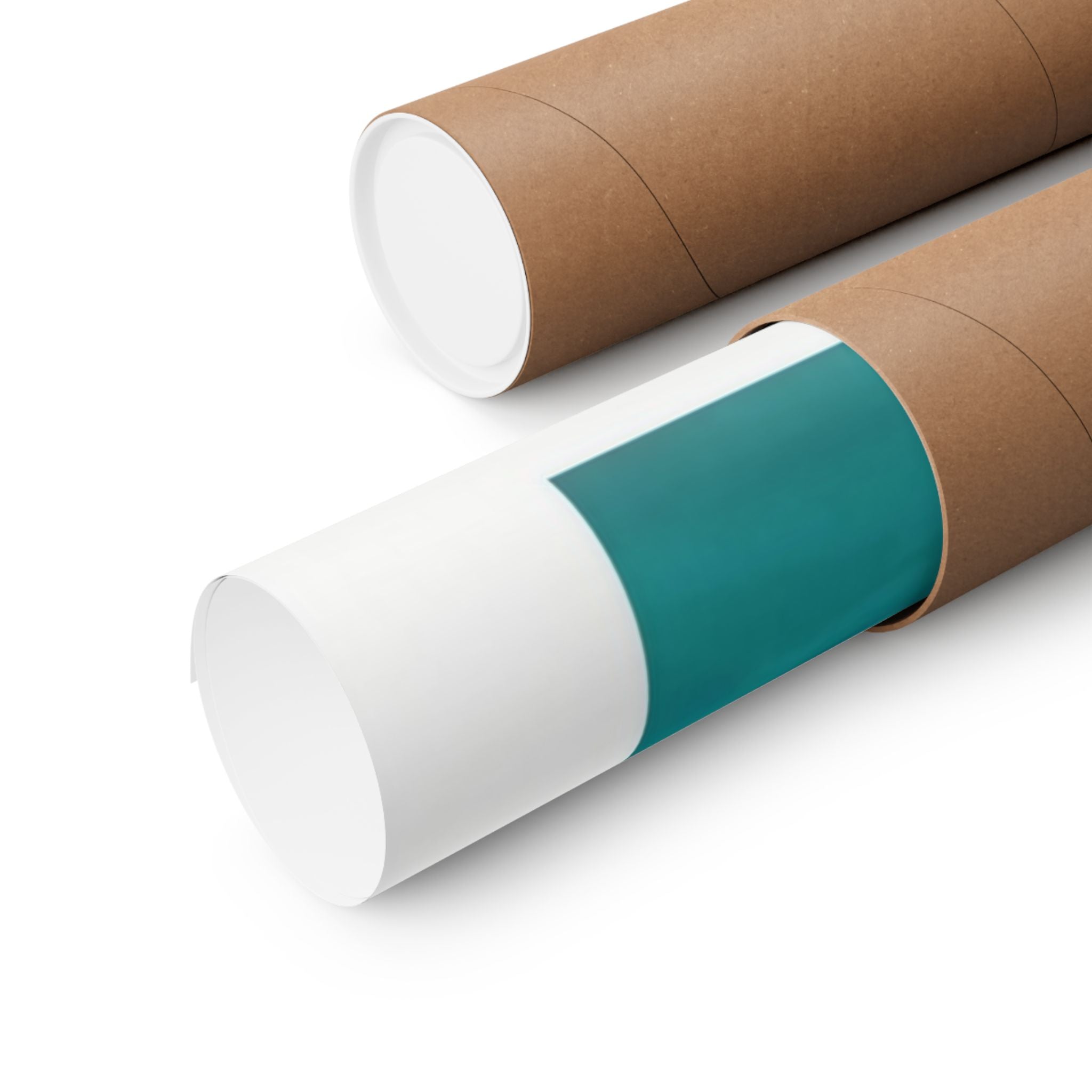 Dolphin Escort - Watersports - Gallery Print Poster - DC0144