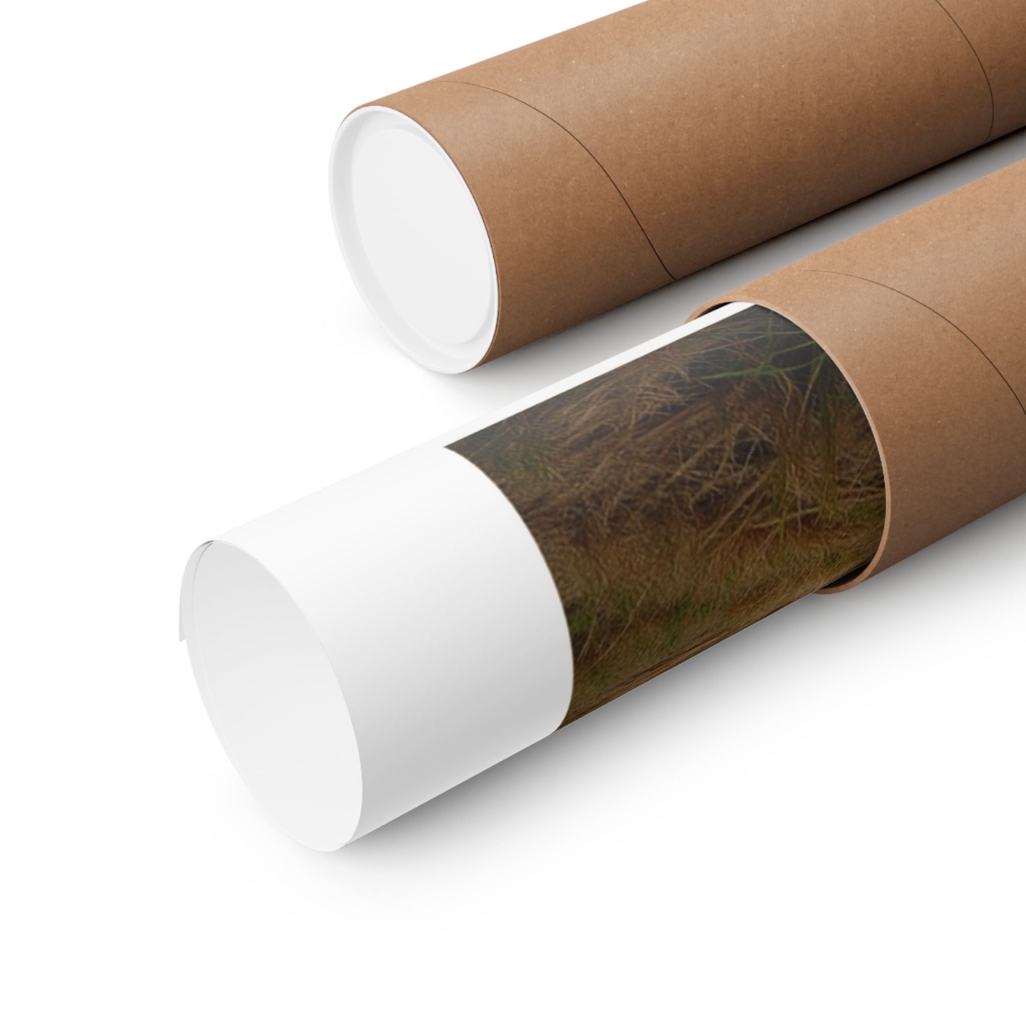 Barnstormer - Aviation - Gallery Print Poster - DC0171