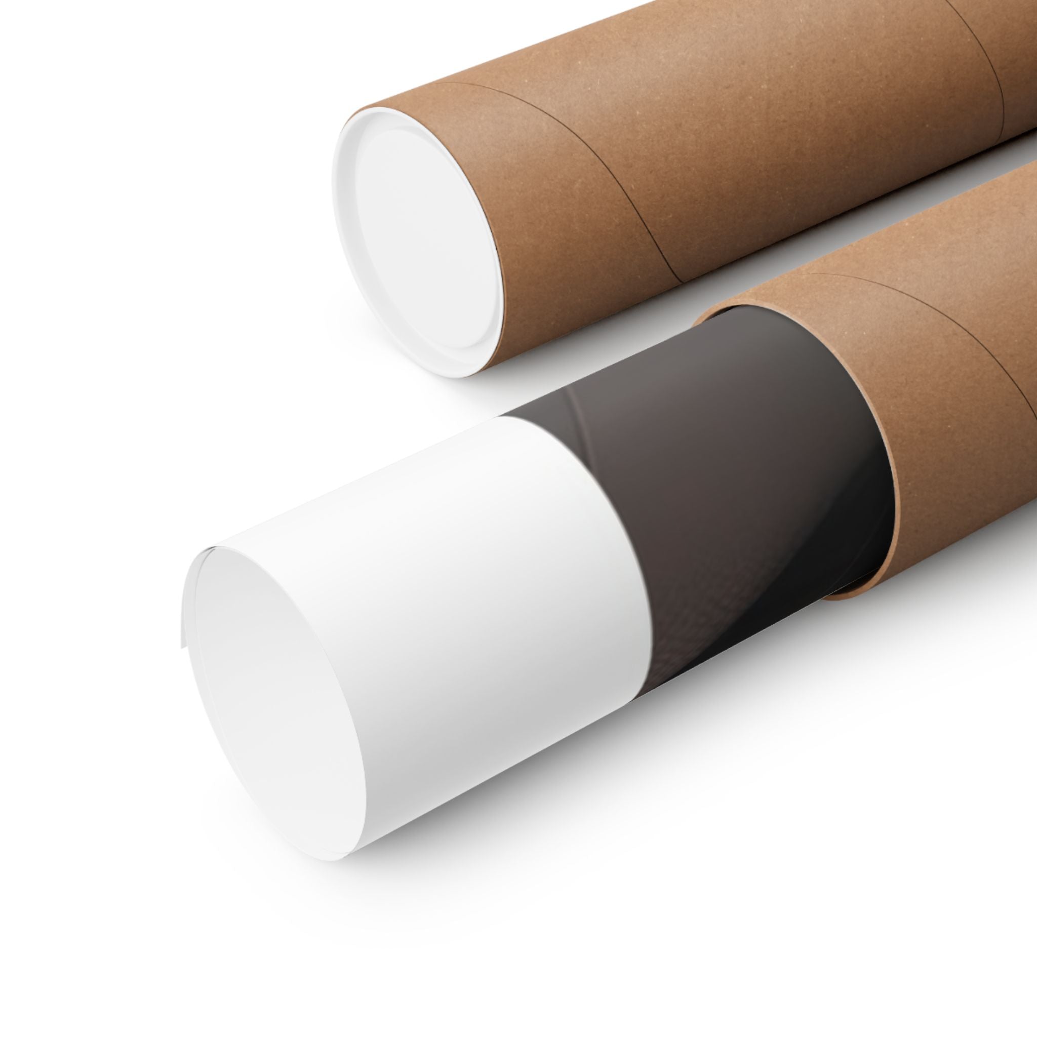 Mona Lisa - Leonardo de Vinci - Watersports - Gallery Print Poster - DC0262