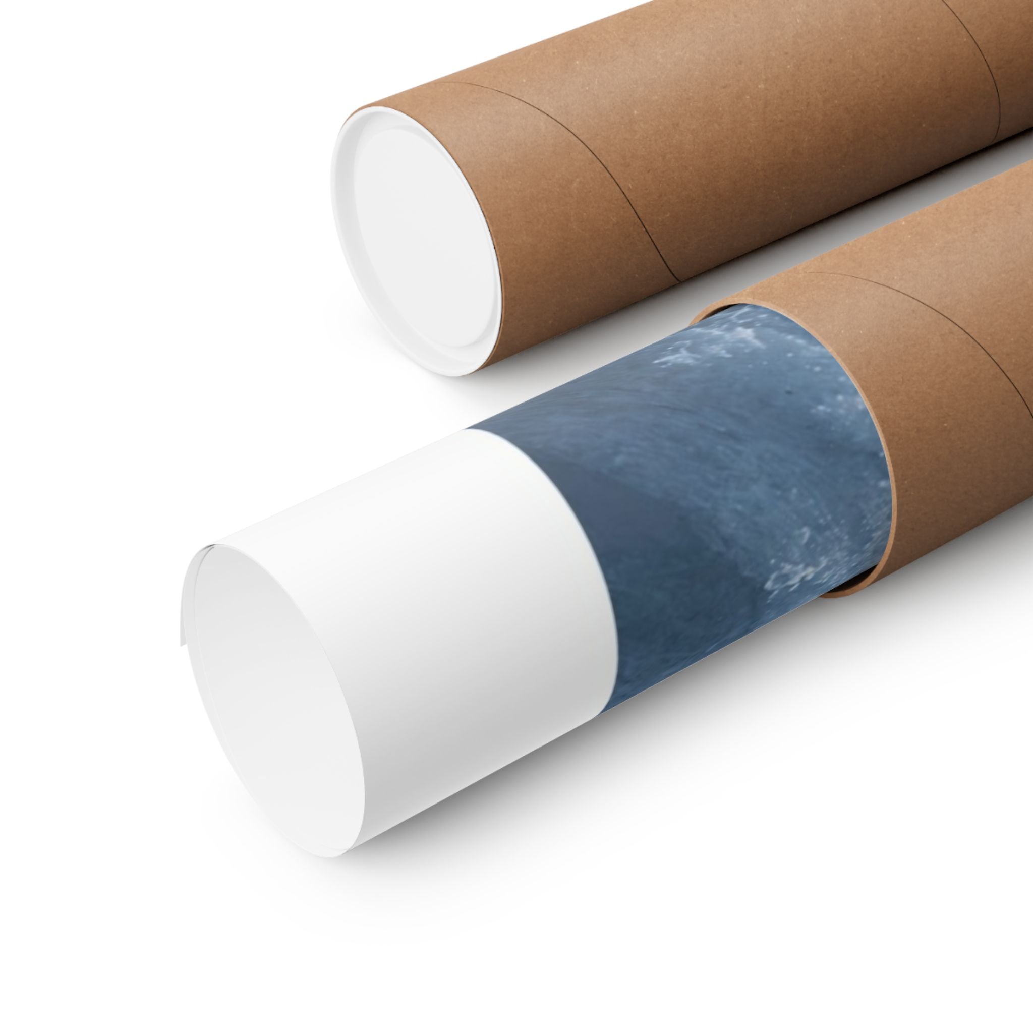 Free Fall - Snowmobile - Gallery Print Poster - DC0192