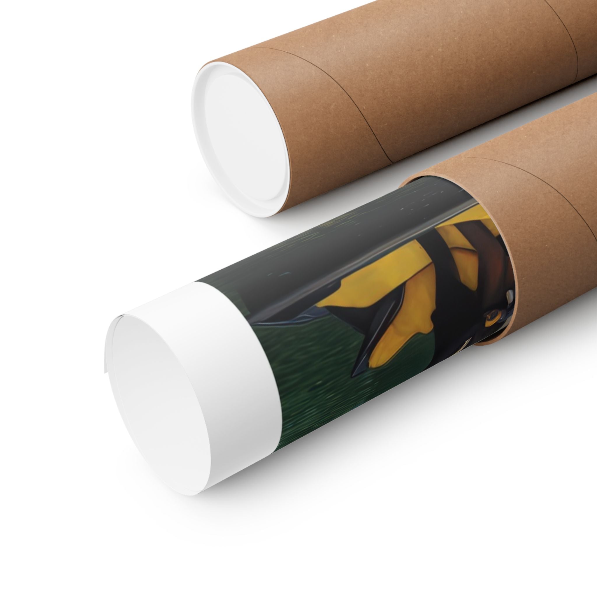 A Sunday Afternoon on the Island of La Grand - Seurat - Watersports - Gallery Print Poster - DC0258