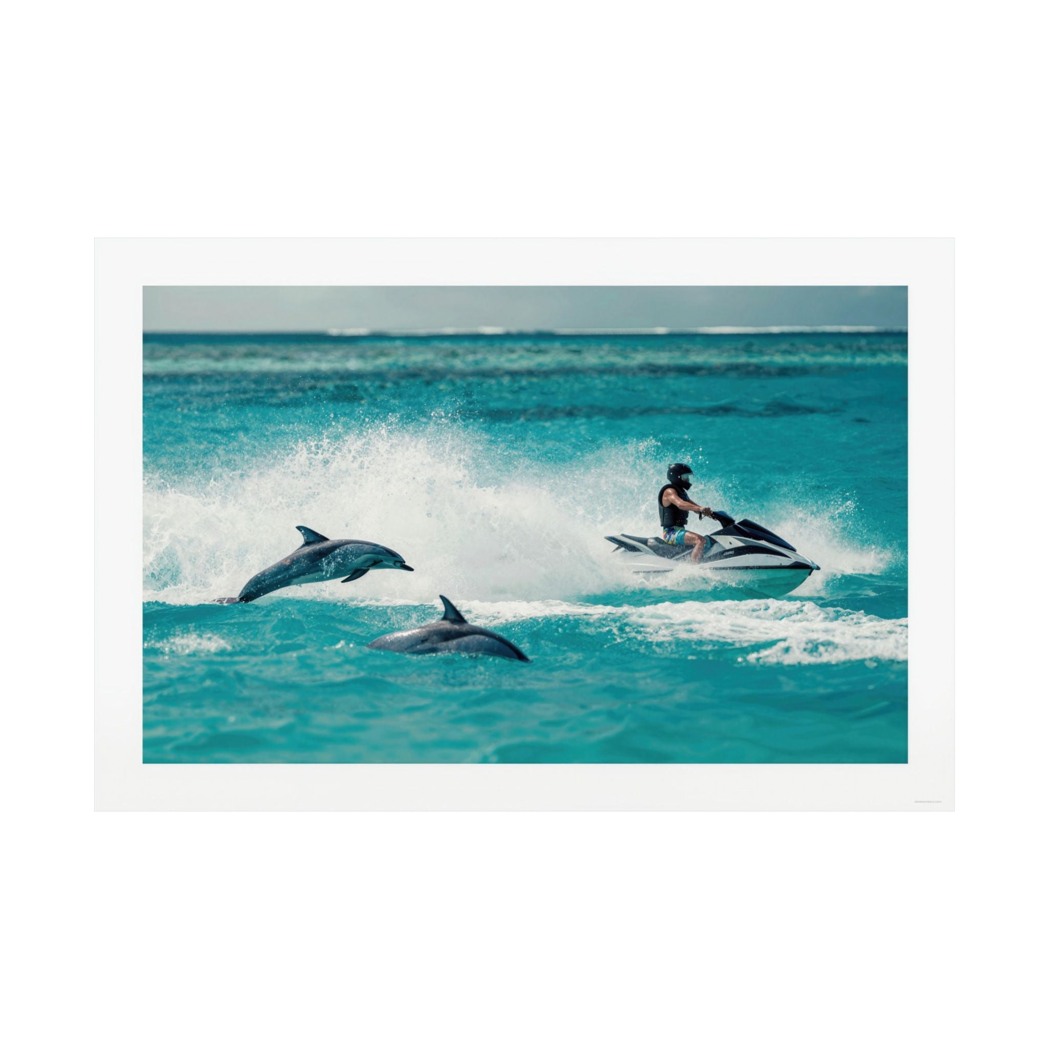 Dolphin Escort - Watersports - Gallery Print Poster - DC0144