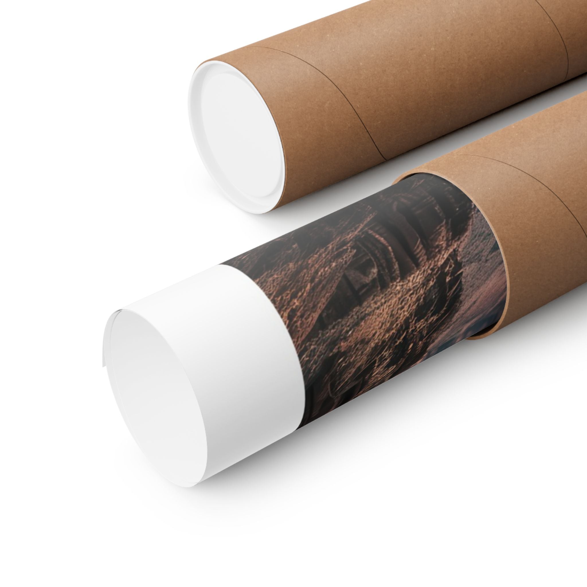 Grand Canyon Jet - Aviation - Gallery Print Poster - DC0148