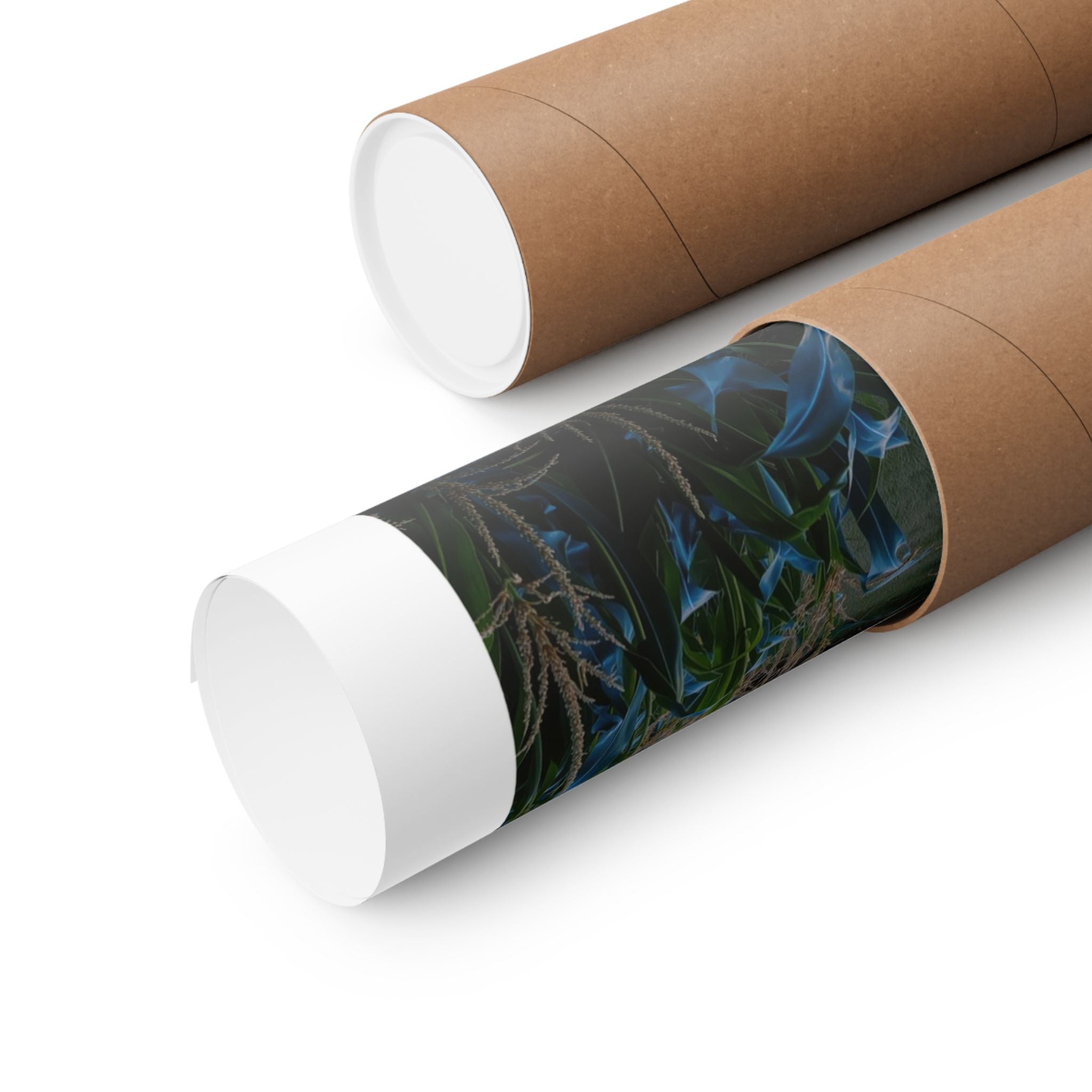 Old Boeing Strerman - Aviation - Gallery Print Poster - DC0169