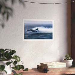 F16 Jet Skiing - Aviation - Gallery Print Poster - DC0149