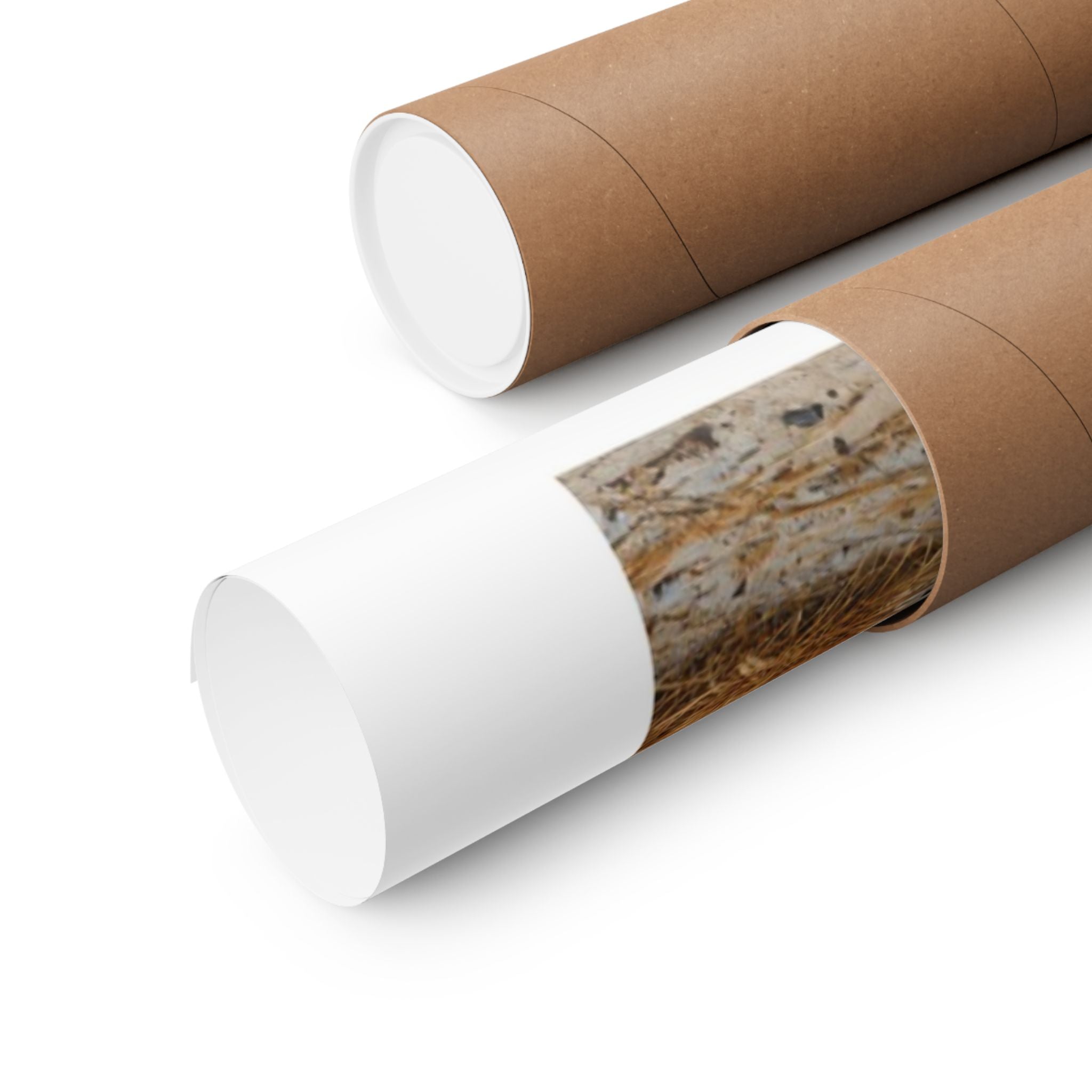 End of the Road - Motorcycle - Gallery Print Poster - DC0278