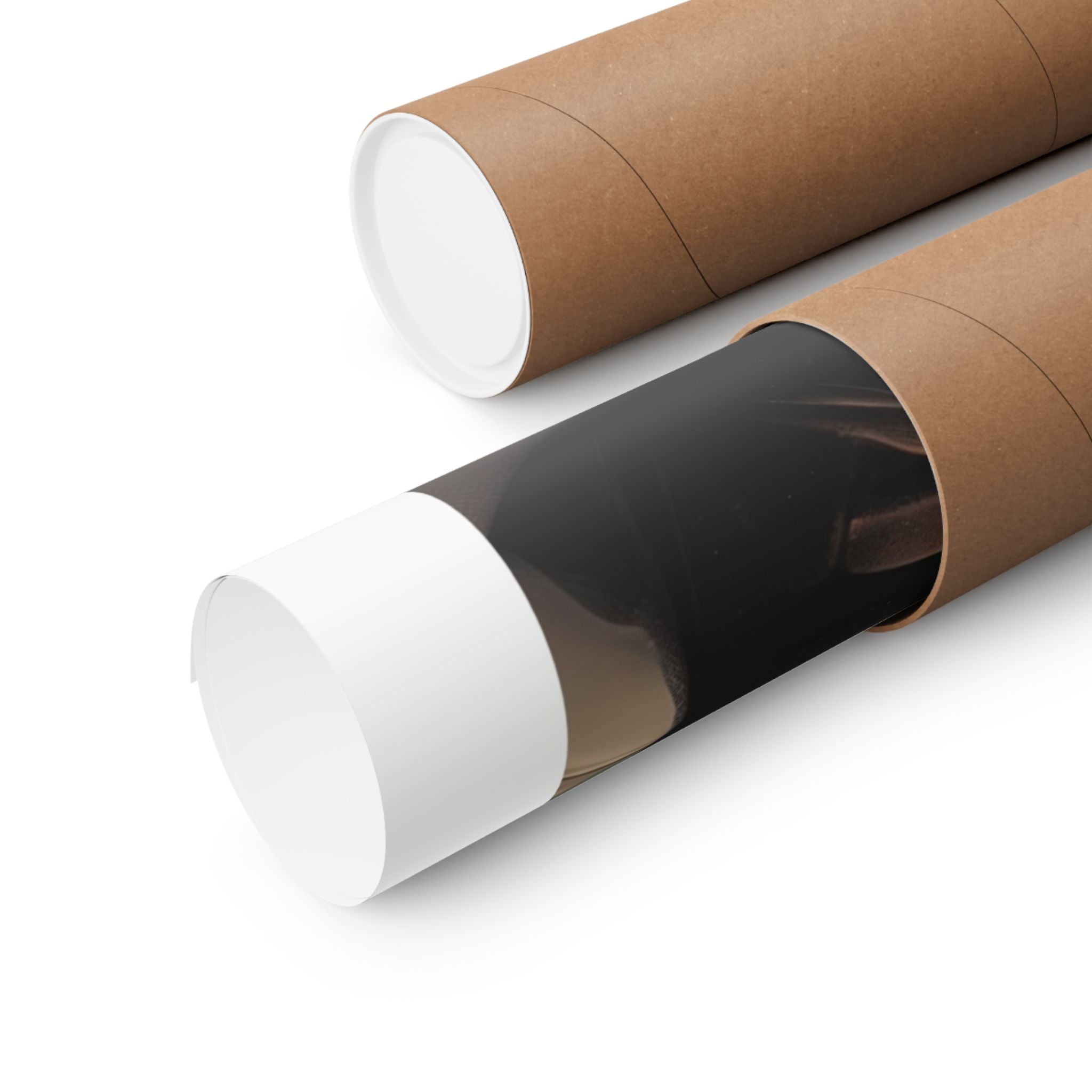 Mona Lisa - Leonardo de Vinci - Watersports - Gallery Print Poster - DC0262