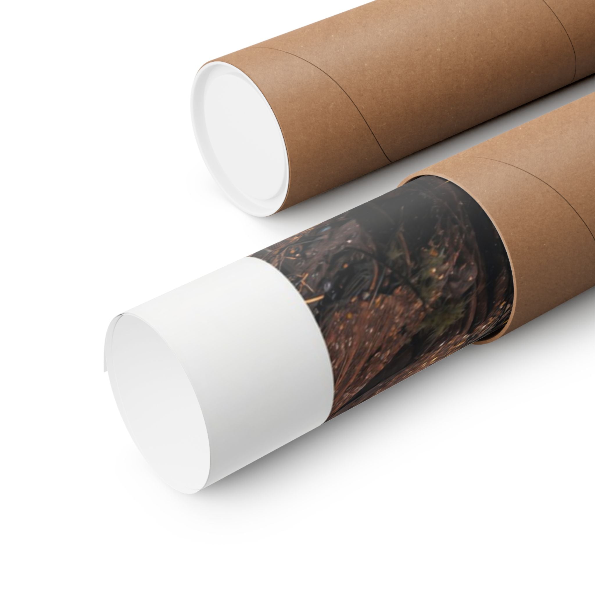 Grand Canyon Jet - Aviation - Gallery Print Poster - DC0148