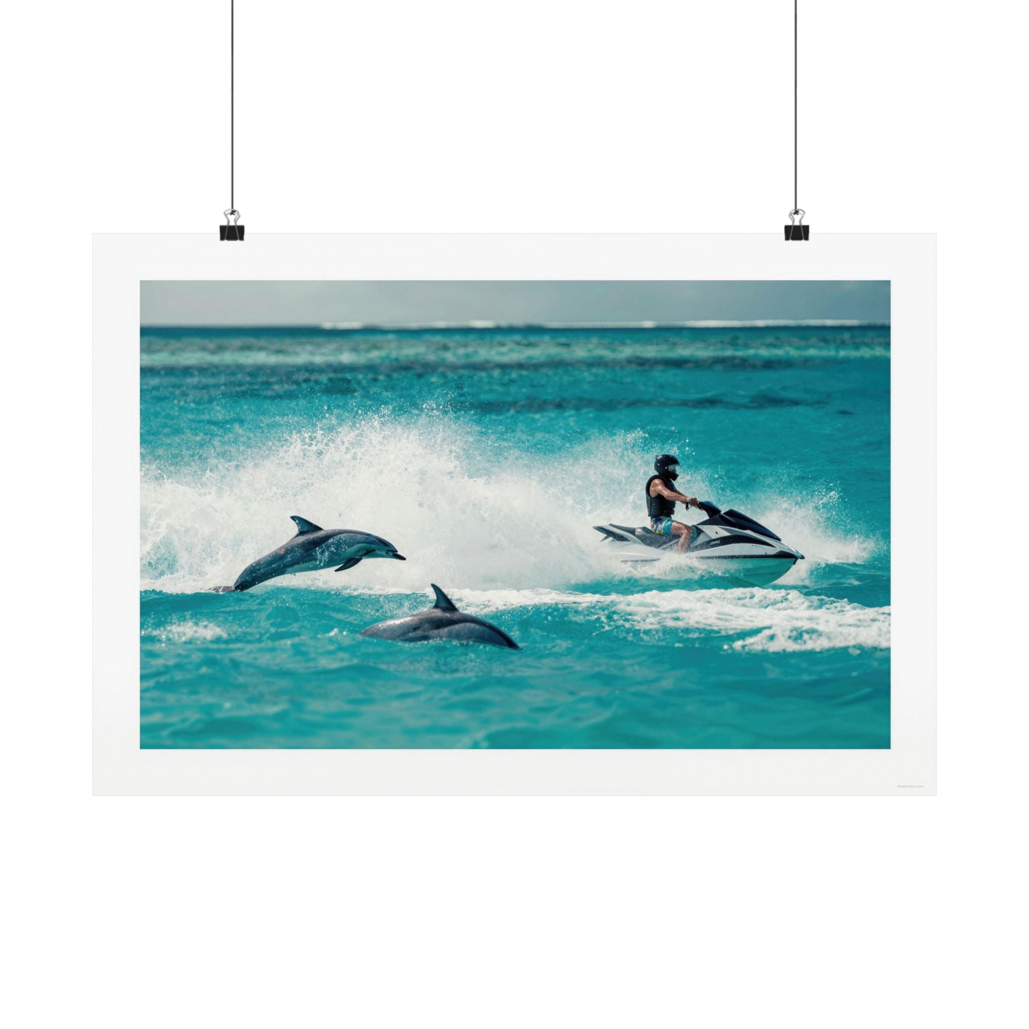 Dolphin Escort - Watersports - Gallery Print Poster - DC0144