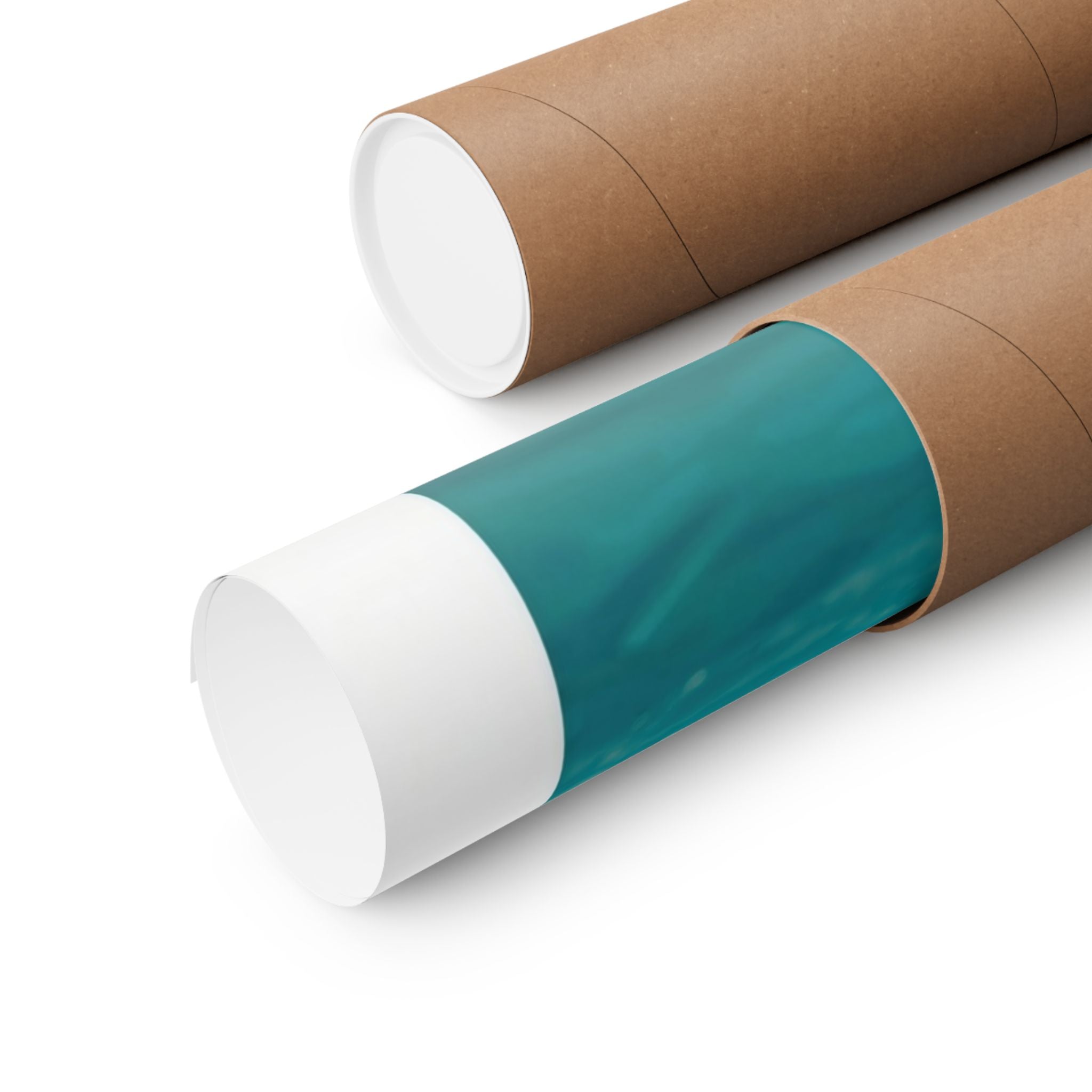 Dolphin Escort - Watersports - Gallery Print Poster - DC0144