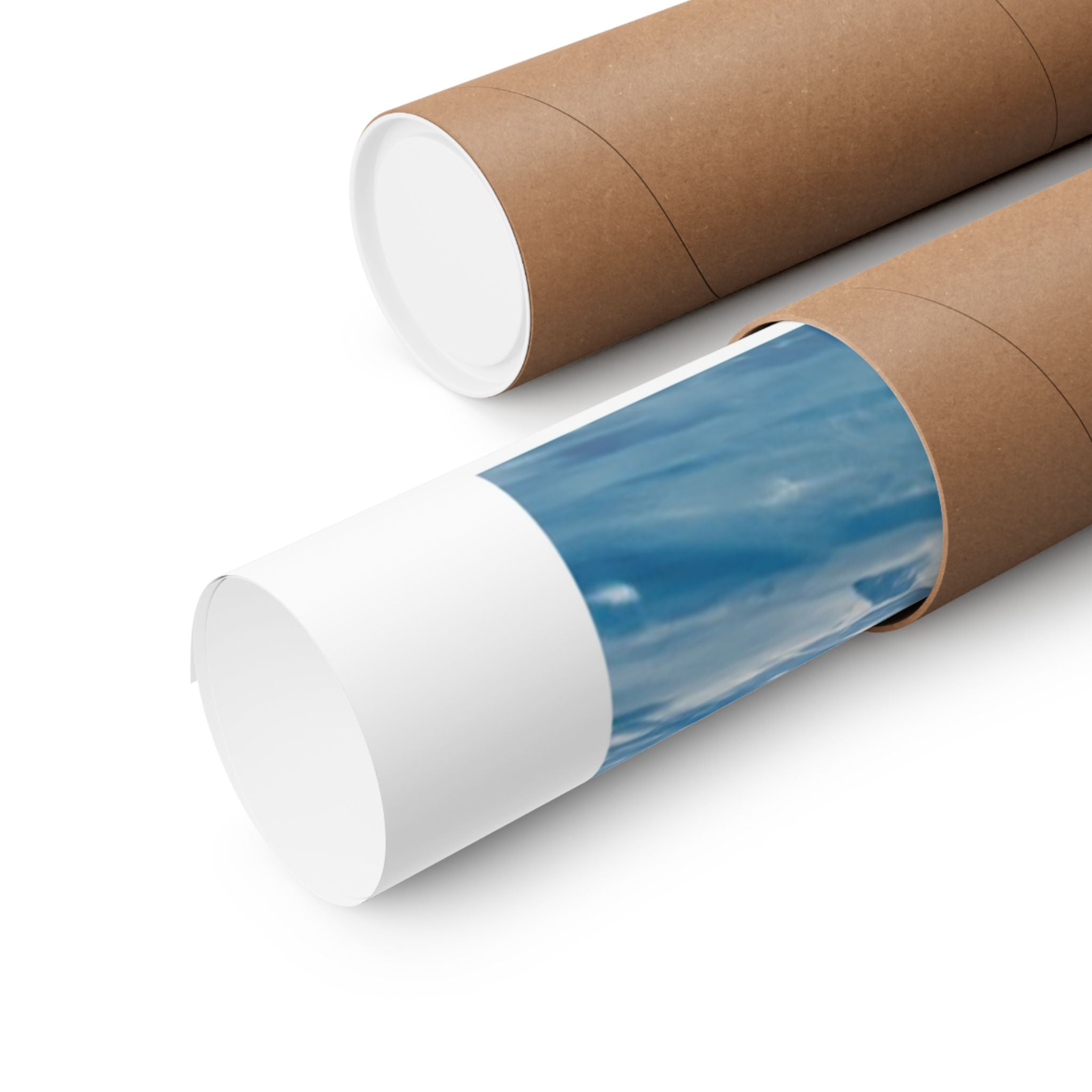 Bear it All - Snowmobile - Gallery Print Poster - DC0166