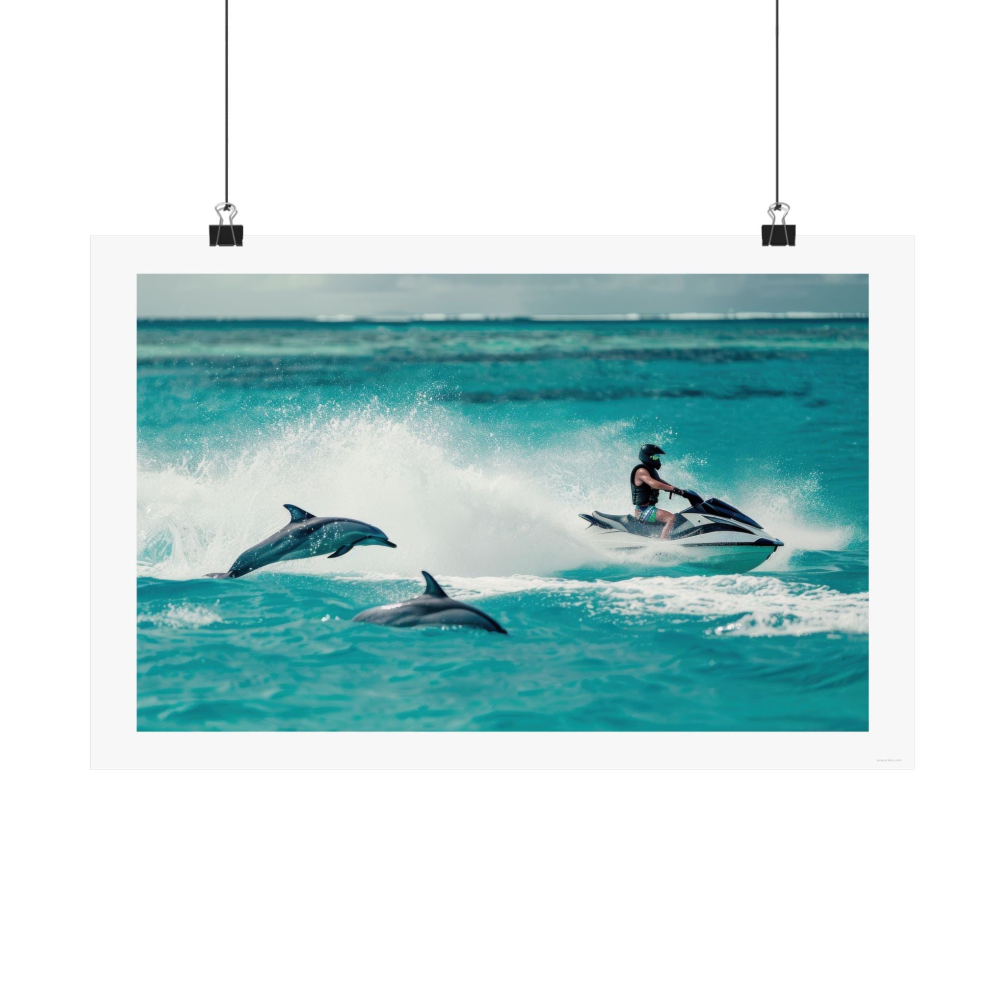 Dolphin Escort - Watersports - Gallery Print Poster - DC0144