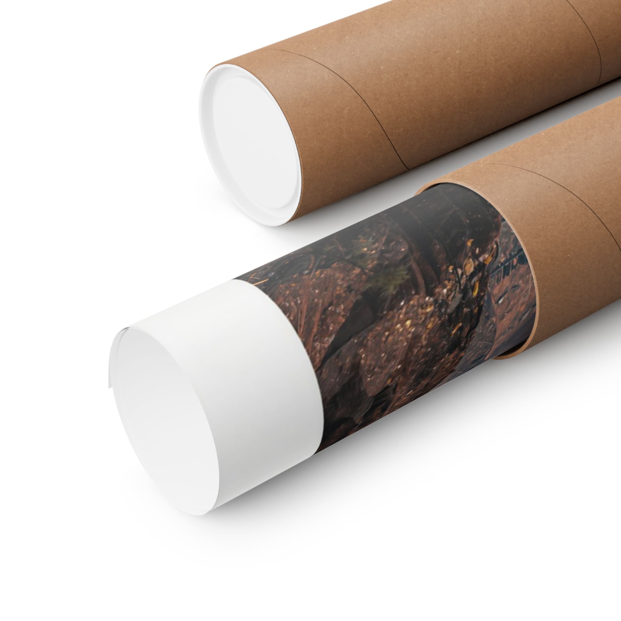 Grand Canyon Jet - Aviation - Gallery Print Poster - DC0148