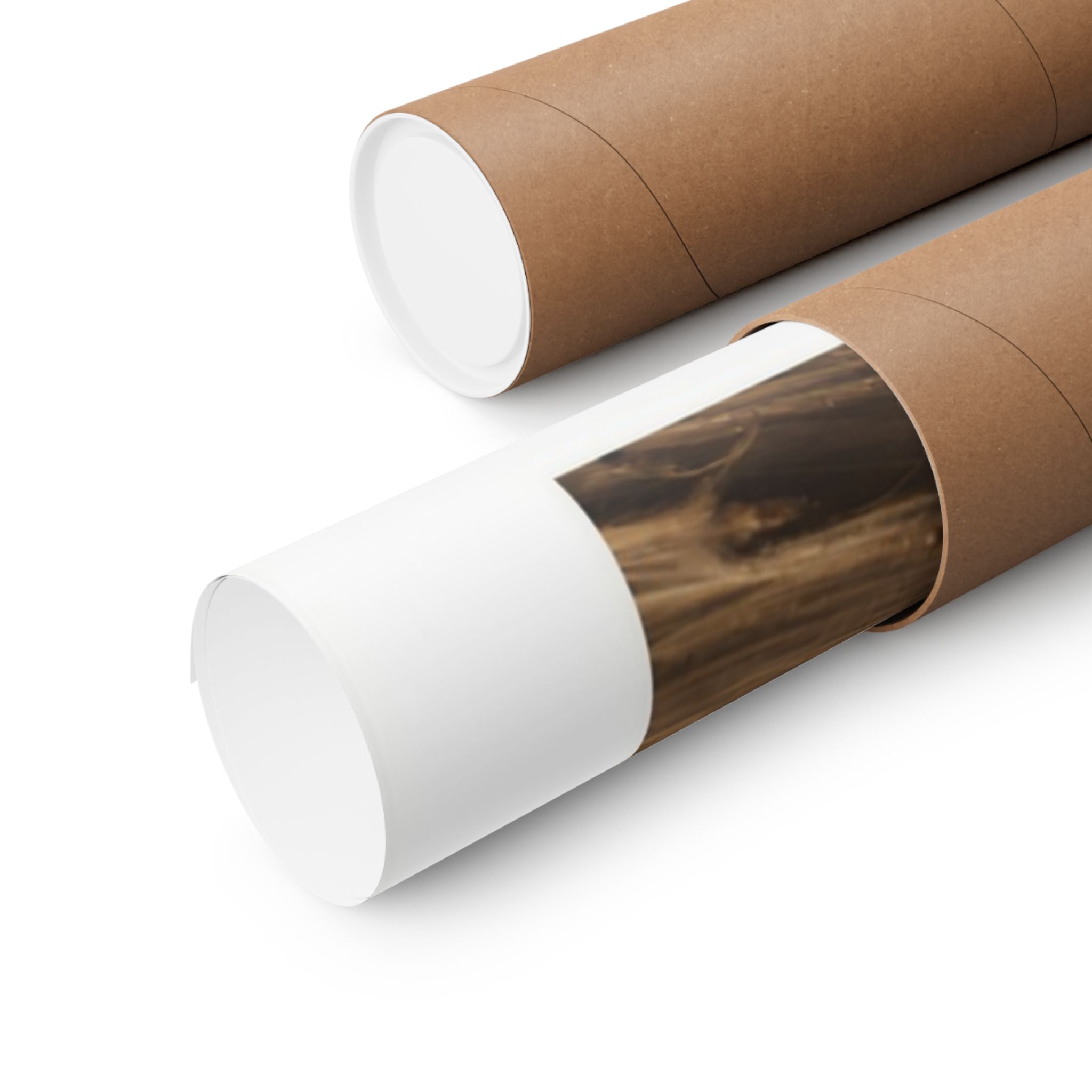 Baja Burst - Auto - Gallery Print Poster - DC0139