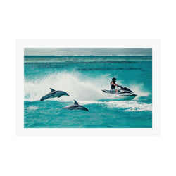 Dolphin Escort - Watersports - Gallery Print Poster - DC0144