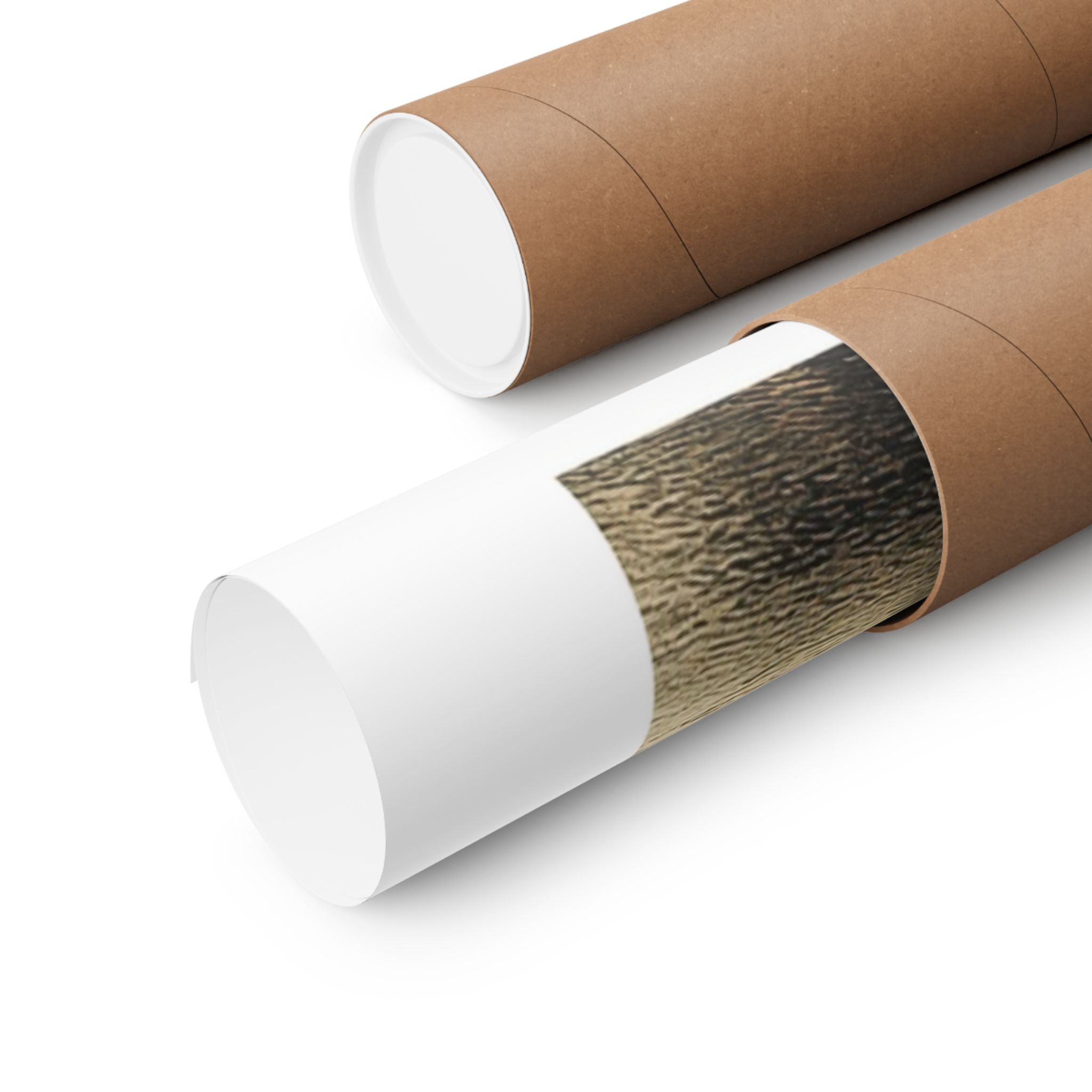 Wings & Wheels - Auto/Aviation  - Gallery Print Poster - DC0184