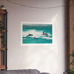 Dolphin Escort - Watersports - Gallery Print Poster - DC0144