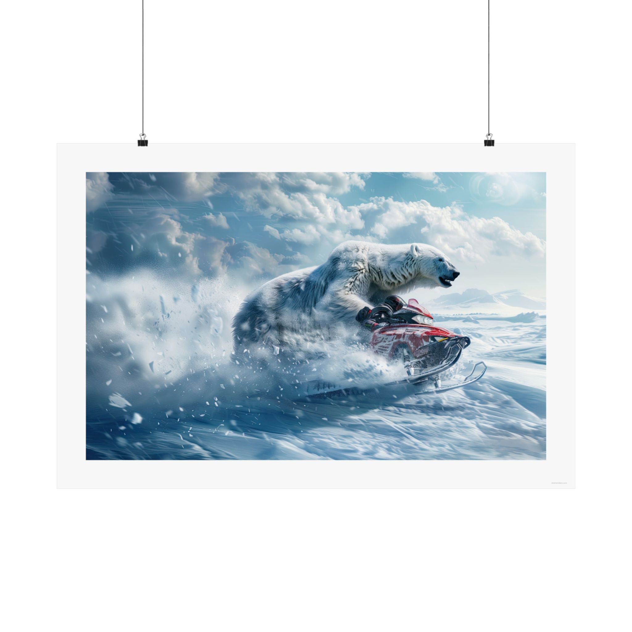 Bear it All Gallery Print, poster, wall art, photo, snowmobile, rider on a snowmobile racing a polar bear across the trundra