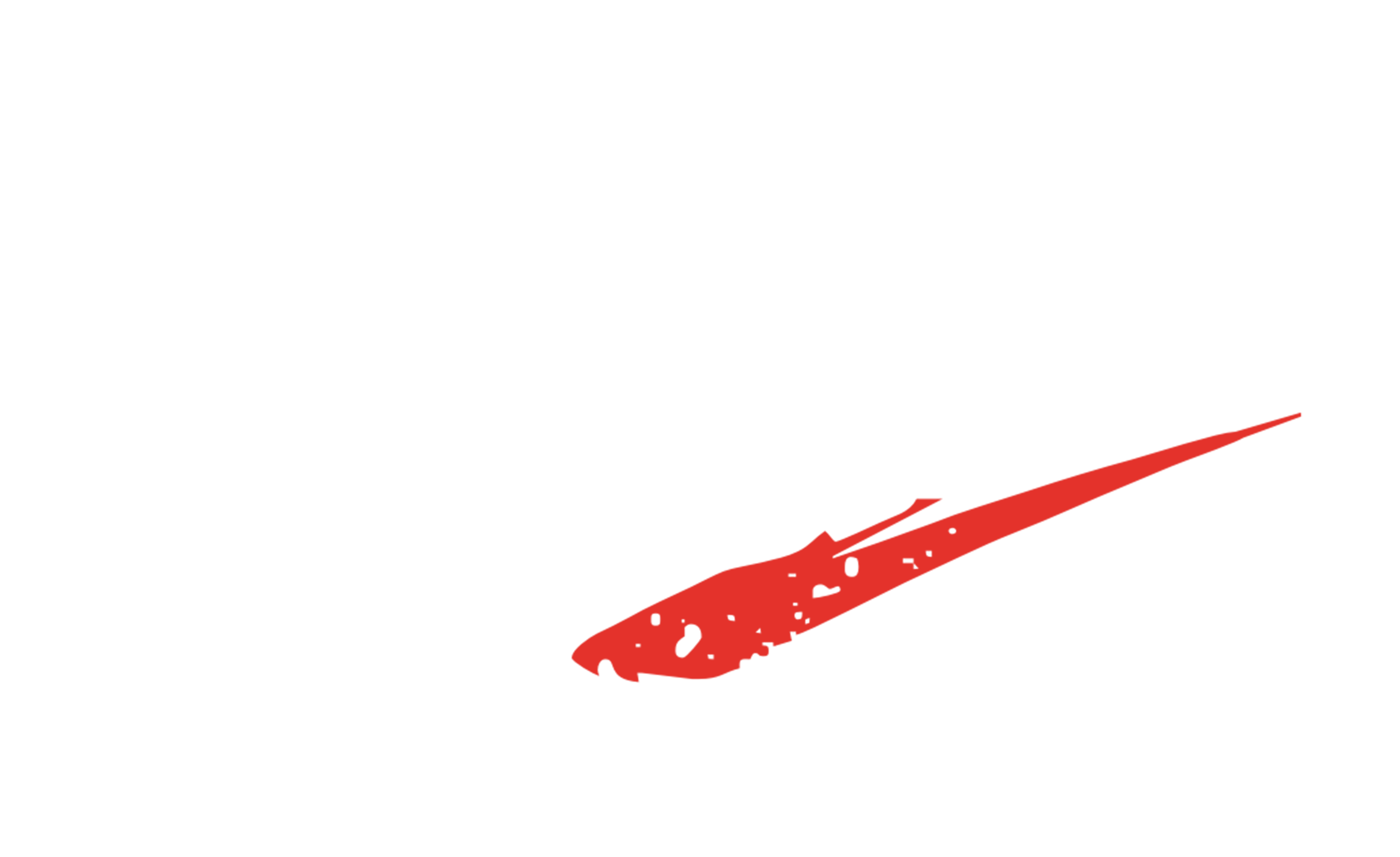 Xtreme Riderz